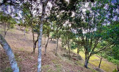 VENTA ESPECTACULAR LOTE EN PARCELACIÓN GUARNE