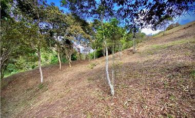 VENTA ESPECTACULAR LOTE EN PARCELACIÓN GUARNE