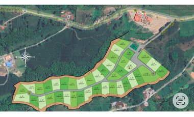 Se Venden Lotes Parcelacion Campestre Entre Circasia Y Montenegro