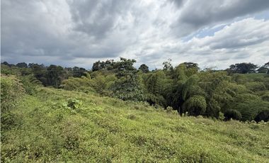 Se Venden Lotes Parcelacion Campestre Entre Circasia Y Montenegro
