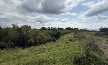 Se Venden Lotes Parcelacion Campestre Entre Circasia Y Montenegro