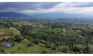 Se Venden Lotes Parcelacion Campestre Entre Circasia Y Montenegro