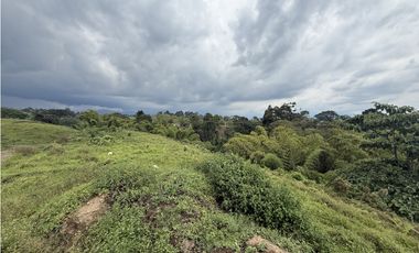 Se Venden Lotes Parcelacion Campestre Entre Circasia Y Montenegro