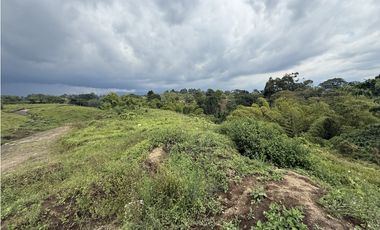 Se Venden Lotes Parcelacion Campestre Entre Circasia Y Montenegro