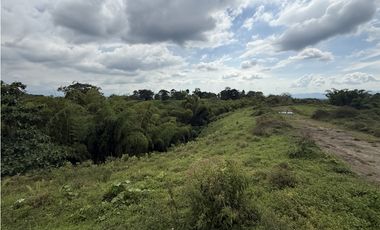 Se Venden Lotes Parcelacion Campestre Entre Circasia Y Montenegro