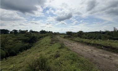 Se Venden Lotes Parcelacion Campestre Entre Circasia Y Montenegro