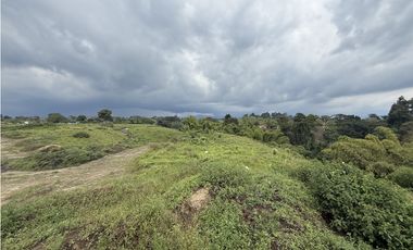 Se Venden Lotes Parcelacion Campestre Entre Circasia Y Montenegro