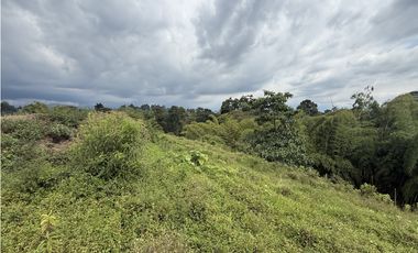 Se Venden Lotes Parcelacion Campestre Entre Circasia Y Montenegro