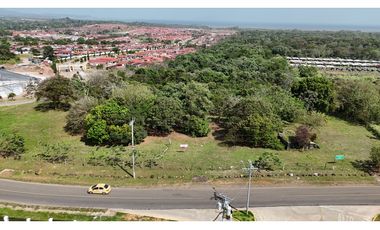 Se Vende Terreno de 19.9 Hectareas en Chorrera