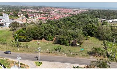 Se Vende Terreno de 19.9 Hectareas en Chorrera