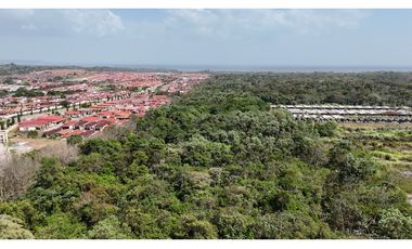 Se Vende Terreno de 19.9 Hectareas en Chorrera