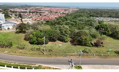 Se Vende Terreno de 19.9 Hectareas en Chorrera