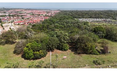 Se Vende Terreno de 19.9 Hectareas en Chorrera