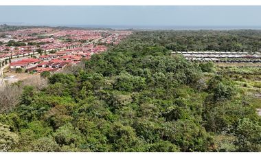Se Vende Terreno de 19.9 Hectareas en Chorrera