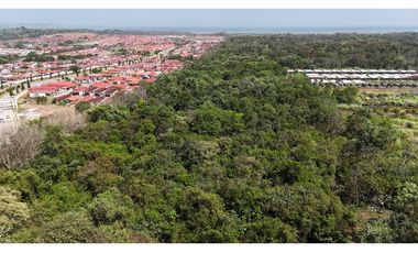 Se Vende Terreno de 19.9 Hectareas en Chorrera