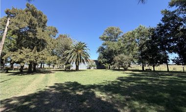 Campo en venta. 227 Has en Ranchos, mixto sobre ruta