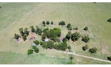 Campo en venta. 227 Has en Ranchos, mixto sobre ruta