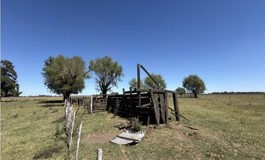 Campo en venta. 227 Has en Ranchos, mixto sobre ruta