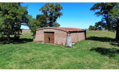 Campo en venta. 227 Has en Ranchos, mixto sobre ruta
