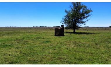 Campo en venta. 227 Has en Ranchos, mixto sobre ruta
