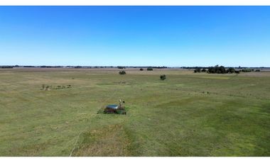 Campo en venta. 227 Has en Ranchos, mixto sobre ruta