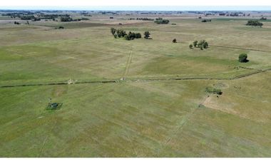 Campo en venta. 227 Has en Ranchos, mixto sobre ruta