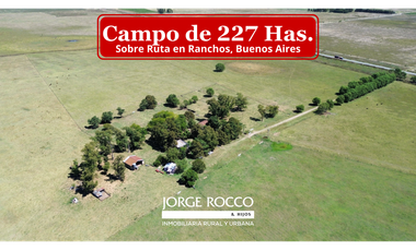 Campo en venta. 227 Has en Ranchos, mixto sobre ruta