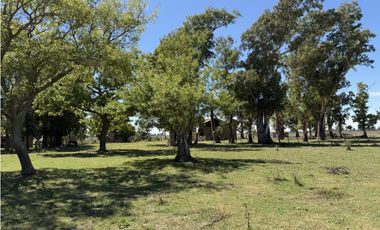 Campo en venta. 227 Has en Ranchos, mixto sobre ruta