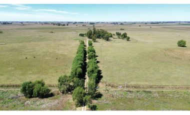 Campo en venta. 227 Has en Ranchos, mixto sobre ruta