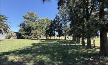 Campo en venta. 227 Has en Ranchos, mixto sobre ruta
