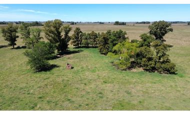 Campo en venta. 227 Has en Ranchos, mixto sobre ruta