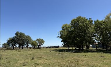 Campo en venta. 227 Has en Ranchos, mixto sobre ruta