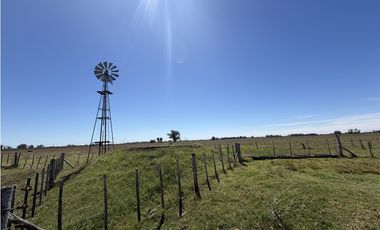 Campo en venta. 227 Has en Ranchos, mixto sobre ruta