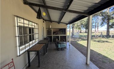 Campo en venta. 227 Has en Ranchos, mixto sobre ruta