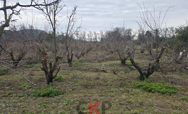 Parcela en Venta en Camino El Barrancón