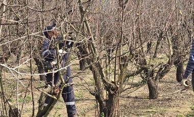Parcela en Venta en Camino El Barrancón