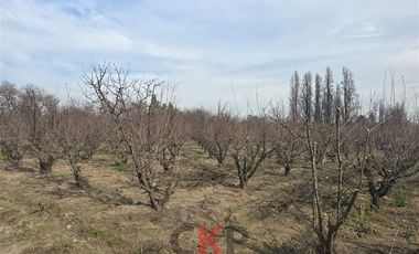 Parcela en Venta en Camino El Barrancón