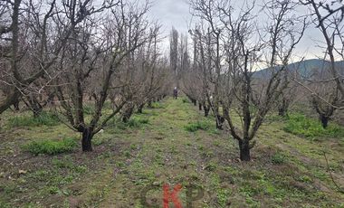 Parcela en Venta en Camino El Barrancón