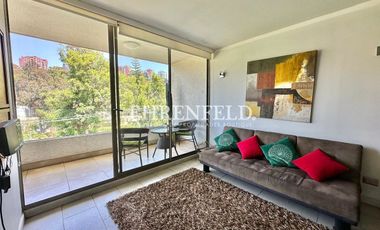 Reñaca.balmaceda. Arriendo año corrido, amoblado.