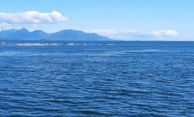 CASA Y TERRENO PUERTO RAUL MARIN BALMACEDA