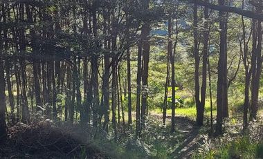 CASA Y TERRENO PUERTO RAUL MARIN BALMACEDA
