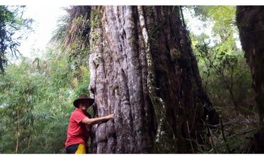 Venta Exclusiva Proyecto Parque  Cumbre Valdivia