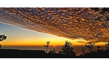 Venta Exclusiva Proyecto Parque  Cumbre Valdivia