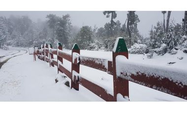 Venta Exclusiva Proyecto Parque  Cumbre Valdivia