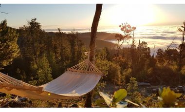 Venta Exclusiva Proyecto Parque  Cumbre Valdivia