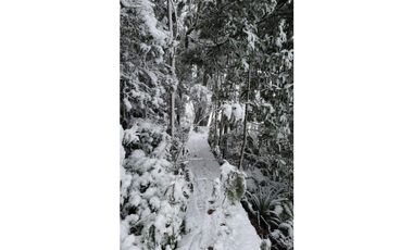 Venta Exclusiva Proyecto Parque  Cumbre Valdivia