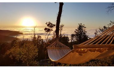 Venta Exclusiva Proyecto Parque  Cumbre Valdivia