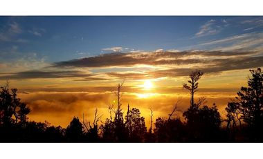 Venta Exclusiva Proyecto Parque  Cumbre Valdivia