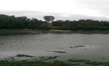 Parcela G2. Isla Sur Chiloe