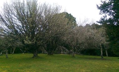 Parcela G2. Isla Sur Chiloe